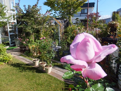 c0078586_2223231.jpg