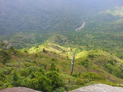 f0228886_1126.jpg