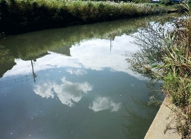 e0143690_16171433.jpg