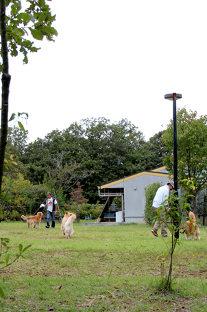 c0096393_2232093.jpg