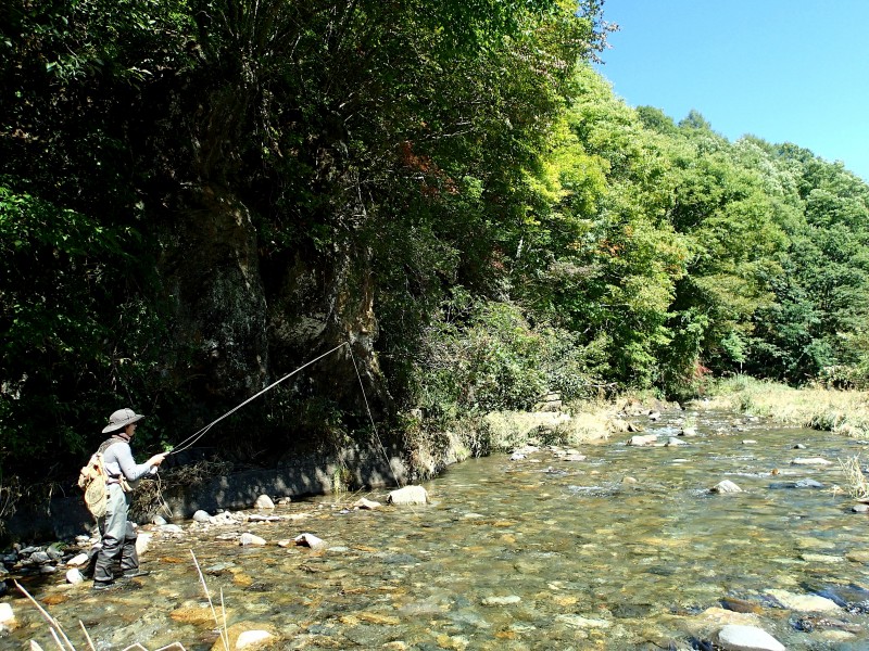 f0129994_11402030.jpg