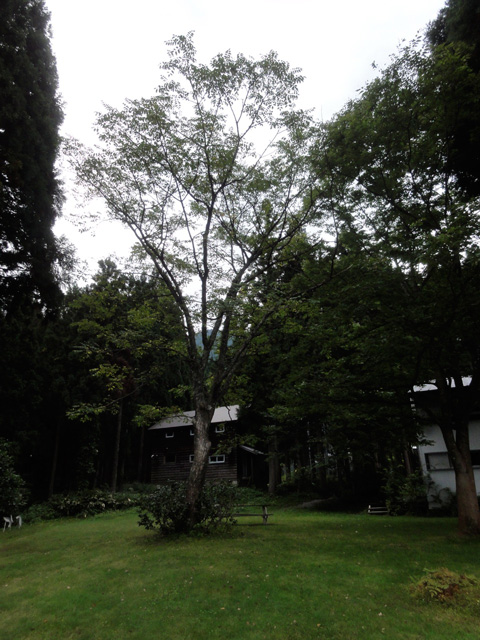 a0061599_842519.jpg
