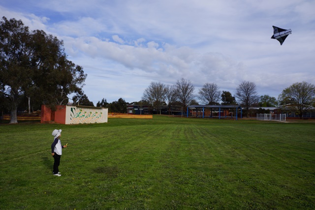 e0006999_9491770.jpg