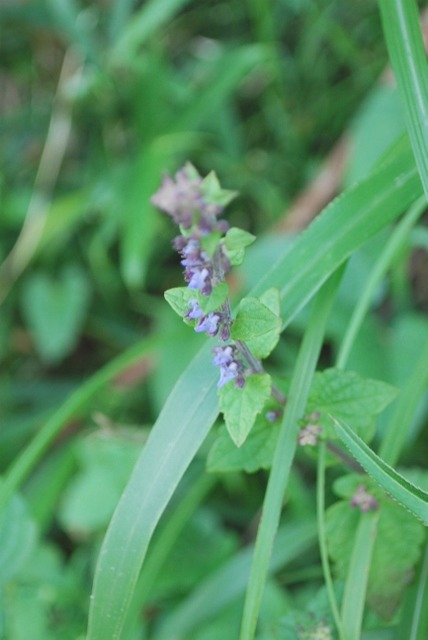 e0025300_21284893.jpg
