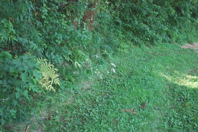 e0025300_21353487.jpg