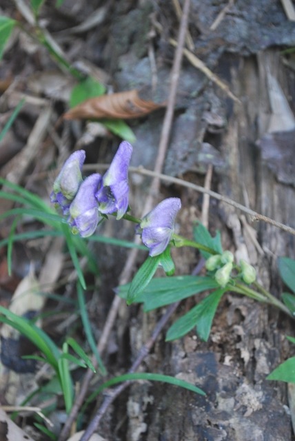 e0025300_21455633.jpg