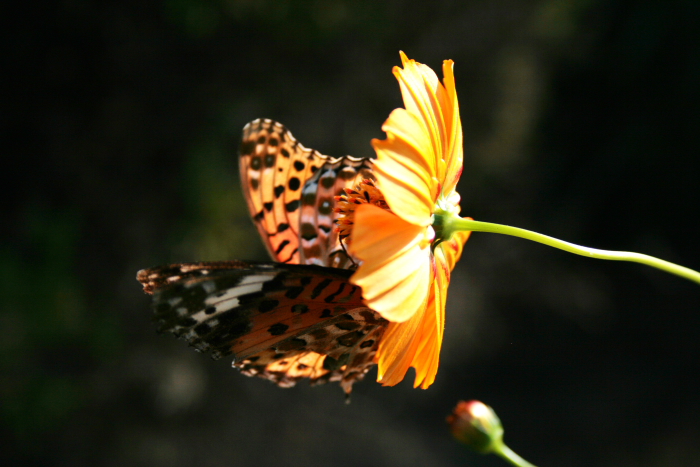 f0083400_21215983.jpg