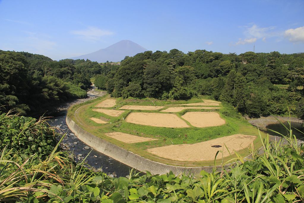 a0188405_2042441.jpg