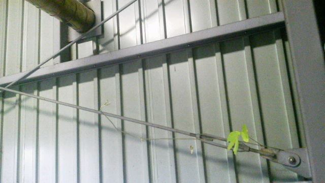 b0193708_1852153.jpg