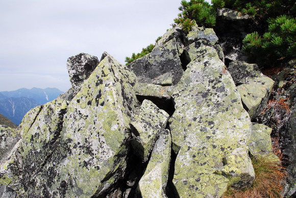 b0223512_034266.jpg