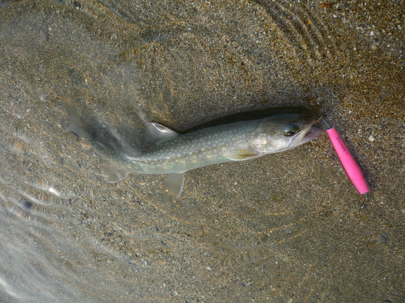 c0232813_13371332.jpg