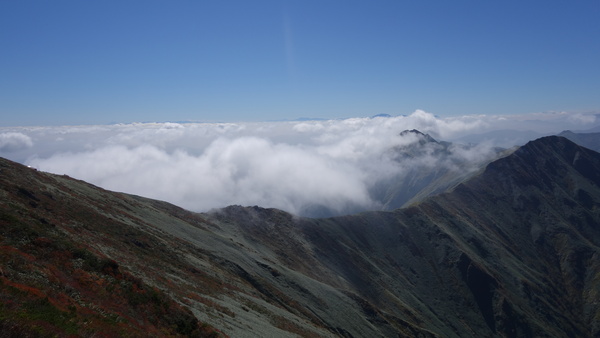 f0033314_19271780.jpg