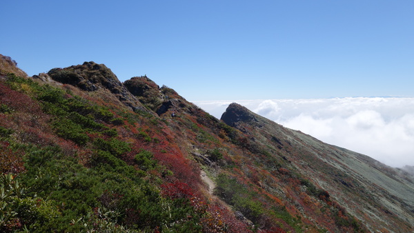 f0033314_19351381.jpg