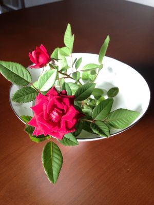 d0323324_9192383.jpg