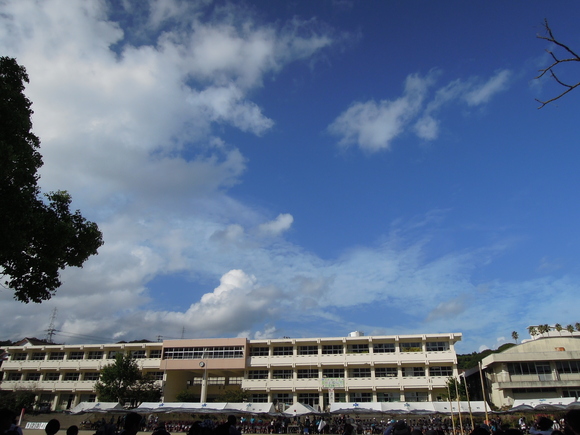f0151628_892148.jpg