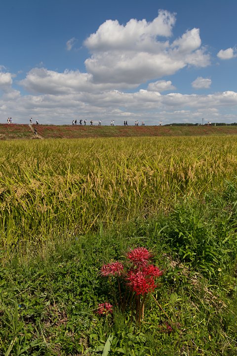 b0134829_10373470.jpg