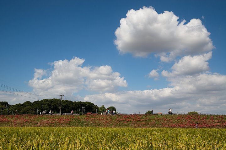 b0134829_20163288.jpg