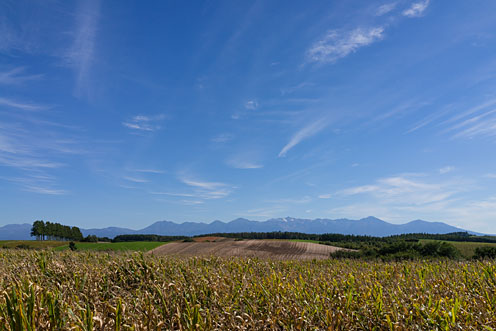 e0025030_1052167.jpg