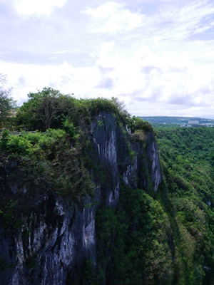 f0186330_1461132.jpg