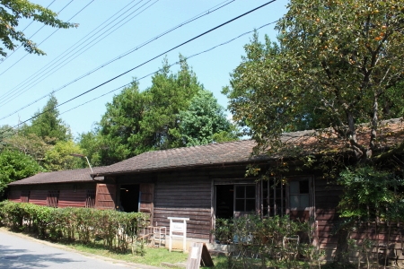 b0272531_922341.jpg