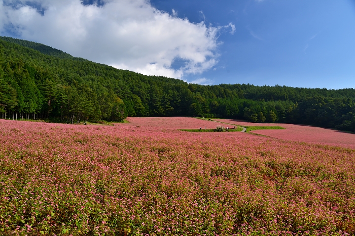 b0236334_21165318.jpg