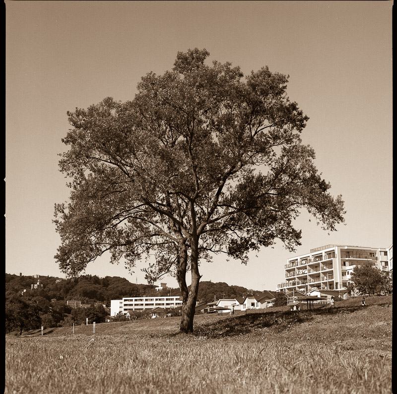 f0265234_203422.jpg