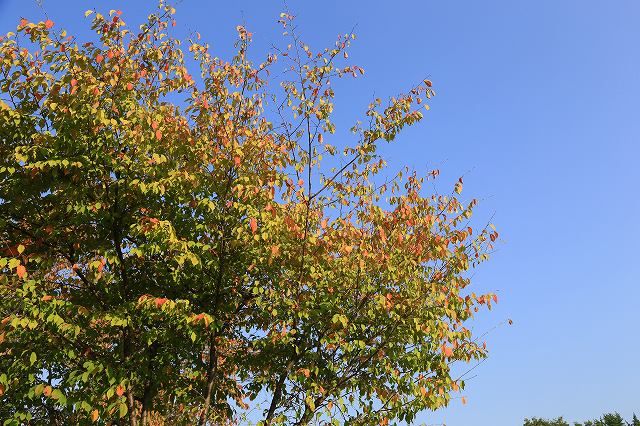 a0242438_1937125.jpg