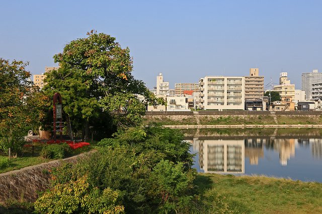 a0242438_19374254.jpg