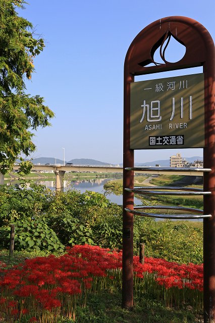 a0242438_1937462.jpg
