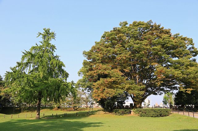 a0242438_19375526.jpg