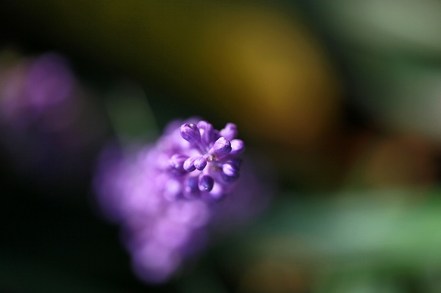 a0242438_1938187.jpg