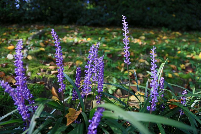 a0242438_1938911.jpg