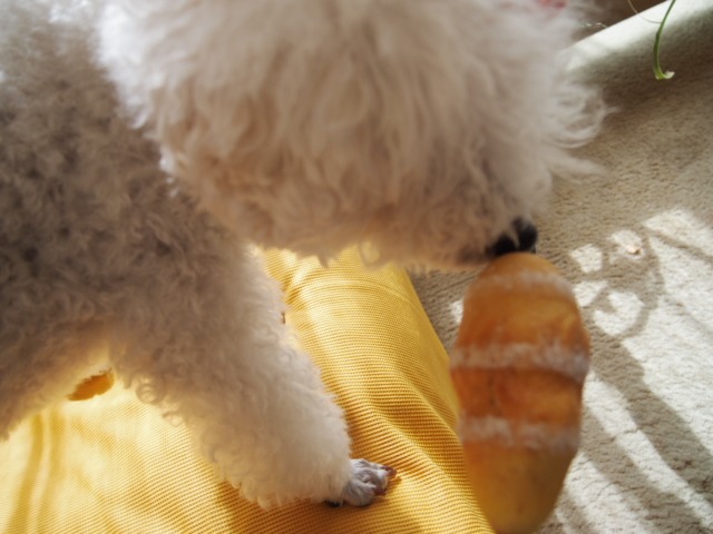 c0117239_1130671.jpg