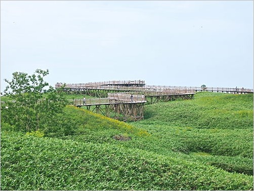 e0022839_2101736.jpg