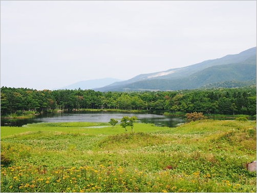 e0022839_2104843.jpg