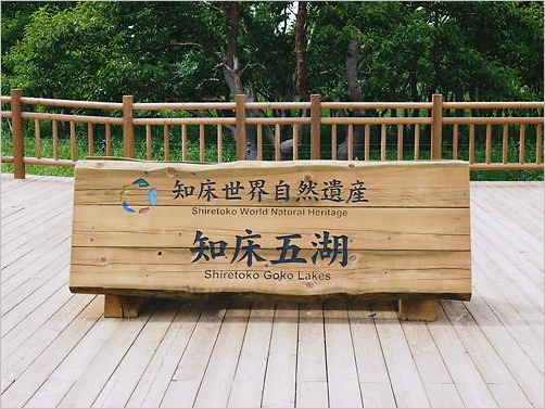 e0022839_282680.jpg