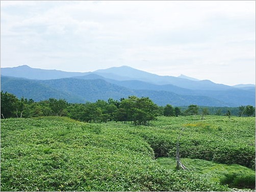 e0022839_295014.jpg