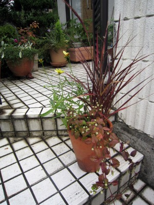 e0110940_891264.jpg