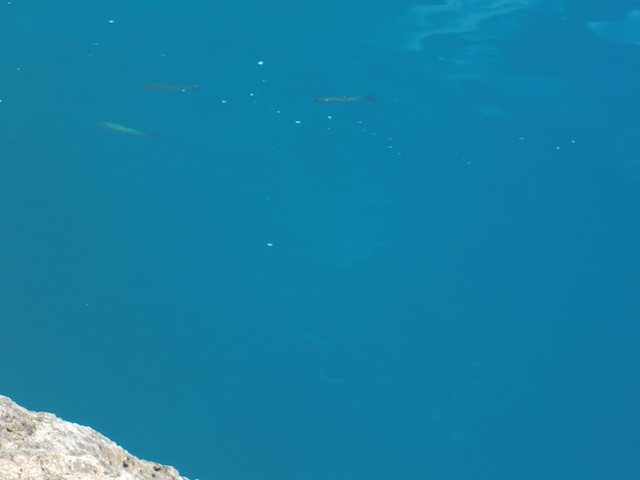 a0265144_18454442.jpg