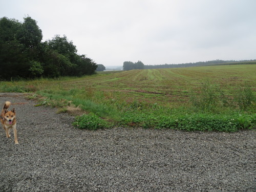 f0221648_11341140.jpg