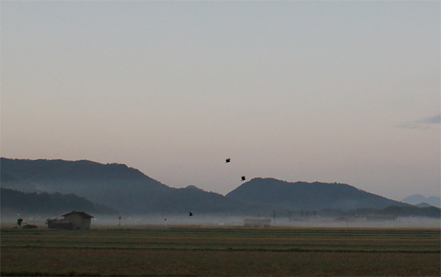 f0214649_1149288.jpg