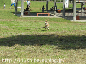 a0286855_915444.gif
