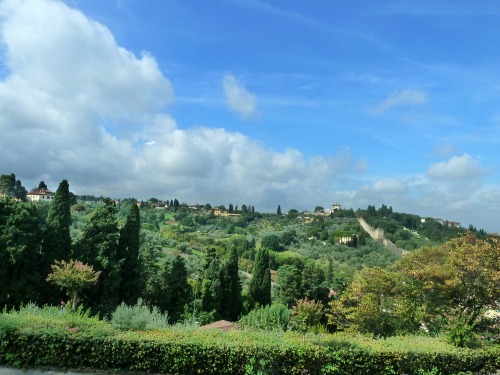 e0176457_8155753.jpg