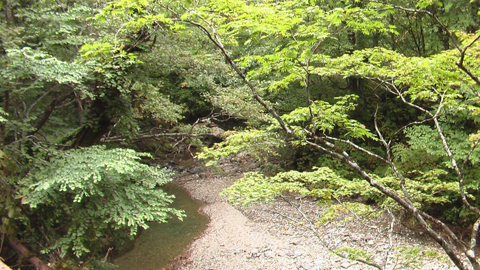 b0208961_1541478.jpg