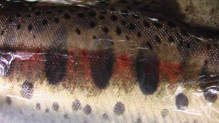 b0208961_1542573.jpg