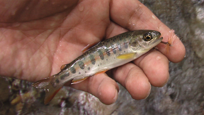 b0208961_15431388.jpg