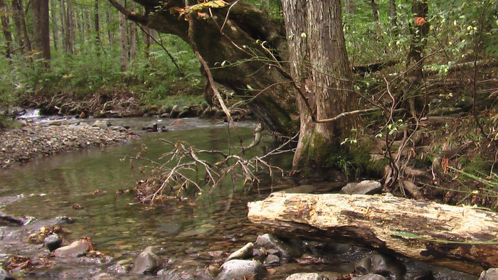 b0208961_15441226.jpg