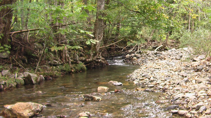 b0208961_15465877.jpg