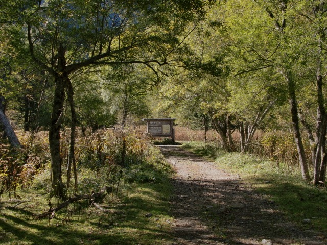 d0010065_20584586.jpg