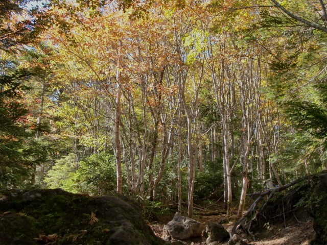 d0010065_20585317.jpg